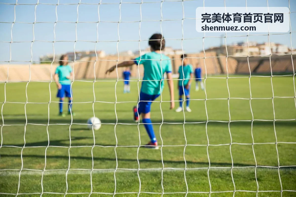 完美体育首页官网黄金会员专属权益