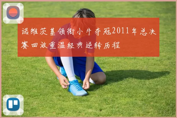 诺维茨基领衔小牛夺冠2011年总决赛回放重温经典逆转历程