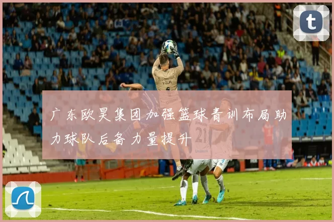 广东欧昊集团加强篮球青训布局助力球队后备力量提升