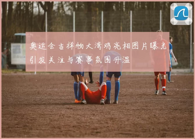 奥运会吉祥物大湾鸡亮相图片曝光引发关注与赛事氛围升温