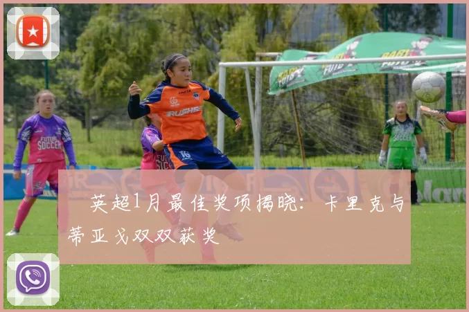 英超1月最佳奖项揭晓:卡里克与蒂亚戈双双获奖