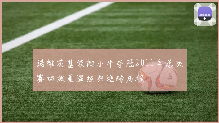诺维茨基领衔小牛夺冠2011年总决赛回放重温经典逆转历程