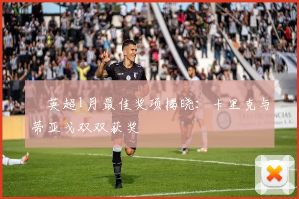 英超1月最佳奖项揭晓:卡里克与蒂亚戈双双获奖