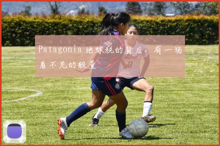 Patagonia 地球税的背后，有一场看不见的较量