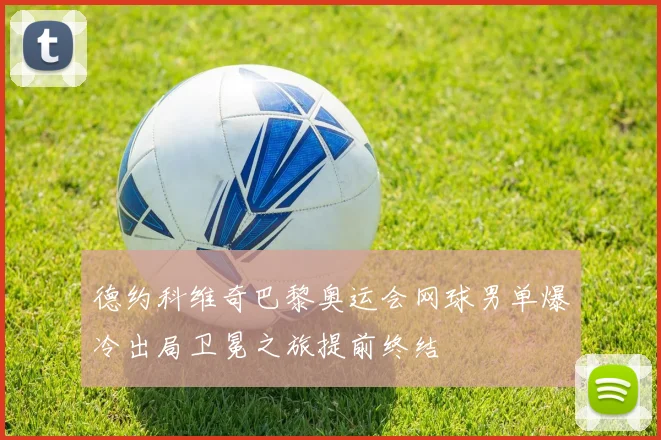 德约科维奇巴黎奥运会网球男单爆冷出局卫冕之旅提前终结