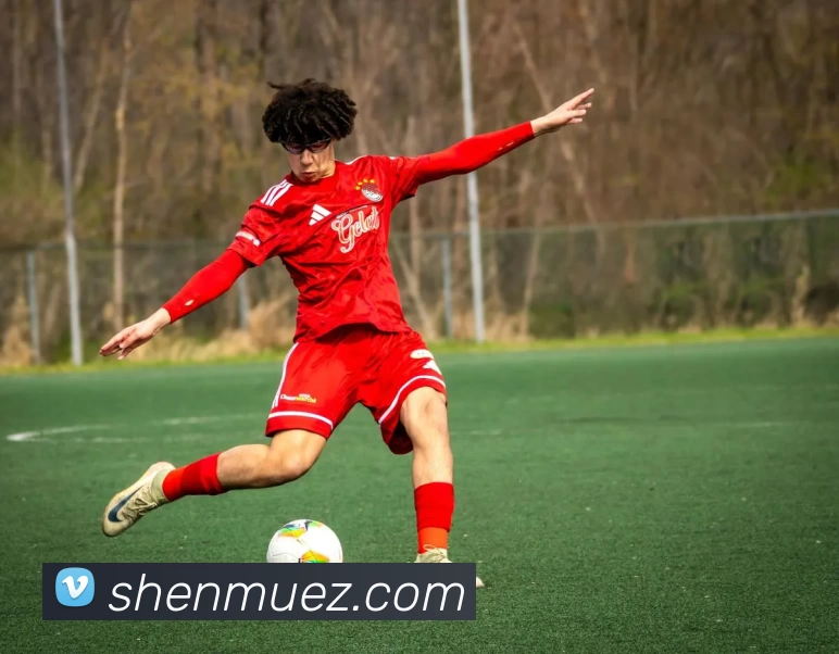 开云·kaiyun体育(中国)官方网站 - 登录入口发展历程